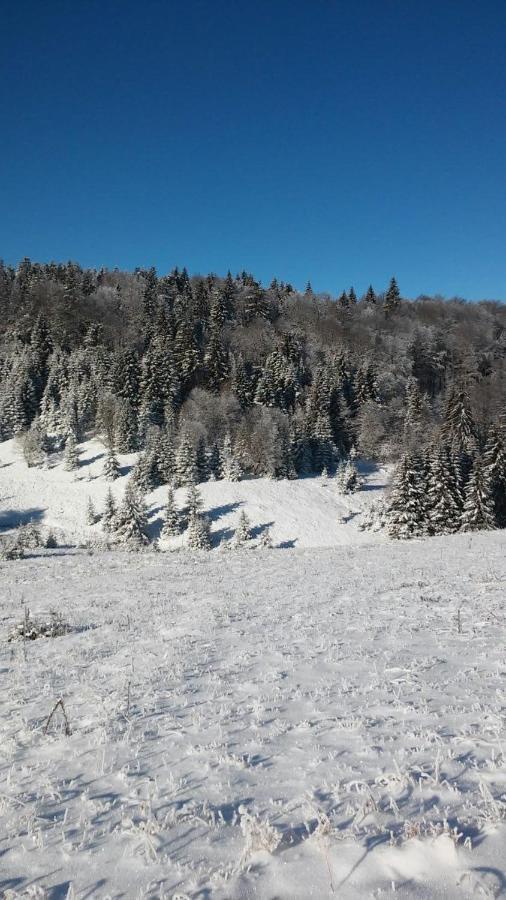 Golija Vikendica Cesta Vrela Villa Raška Exterior foto